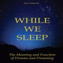 While we Sleep Audiobook