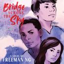Bridge Across the Sky Audiobook
