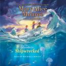 Shipwrecked Audiobook