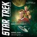 Identity Theft Audiobook