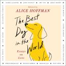 Cover of The Best Dog in the World: Essays on Love