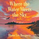 Where The Water Meets The Sky: A Novel Audiobook