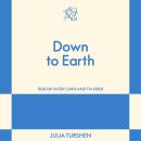 Down to Earth: An 831 Stories Romance Audiobook