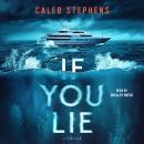 If You Lie Audiobook