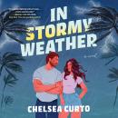 Cover of In Stormy Weather: A Novel