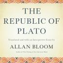 The Republic of Plato Audiobook