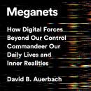 Meganets: How Digital Forces Beyond Our Control  Commandeer Our Daily Lives and Inner Realities Audiobook