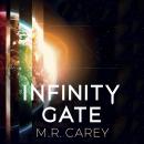 Cover of Infinity Gate