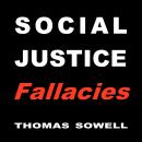 Social Justice Fallacies Audiobook