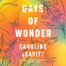 Days of Wonder: A Novel Audiobook