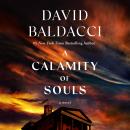 Cover of A Calamity of Souls