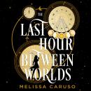 Cover of The Last Hour Between Worlds