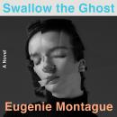 Swallow the Ghost: A Novel Audiobook