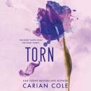 Torn Audiobook