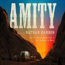 Cover of Amity: A Novel