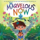The Marvelous Now Audiobook