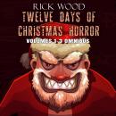 Twelve Days of Christmas Horror Volumes 1-3 Omnibus Audiobook