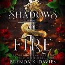 Shadows of Fire (The Shadow Realms, Book 1)