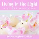 Living in the Light: A Guided Meditation Audiobook