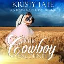 The Cowboy Encounter: A time-travel romance (Witching Well Book 2) Audiobook