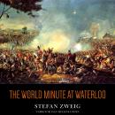 The World Minute at Waterloo Audiobook