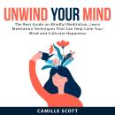 Unwind Your Mind: The Best Guide on Mindful Meditation, Learn Meditation Techniques That Can Help Ca Audiobook