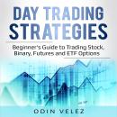 Day Trading Strategies: Beginner's Guide to Trading Stock, Binary, Futures, and ETF Options. Audiobook