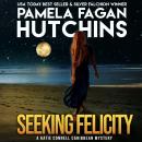 Seeking Felicity (A Katie Connell Texas-to-Caribbean Mystery): A What Doesn't Kill You Romantic Myst Audiobook