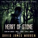 Heart of Stone: A time travel thriller Audiobook