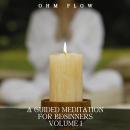 A Guided Meditation for Beginners - Volume 1 Audiobook