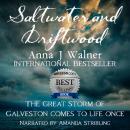 Saltwater and Driftwood: A Historical Novel Audiobook