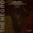 The Negro Audiobook