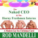 The Naked CEO & The Horny Freshmen Interns Audiobook