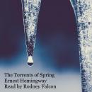 The Torrents of Spring Audiobook