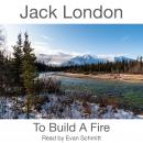 To Build A Fire Audiobook