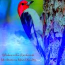 Whales in the Rainforest - Meditations Mixed Reality Audiobook