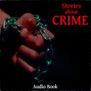 Stories About Crime Audiobook