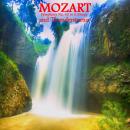 Mozart No. 40 and Thunderstorms Audiobook
