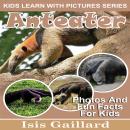 Anteater: Photos and Fun Facts for Kids Audiobook