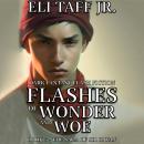 Flashes of Wonder and Woe Audiobook