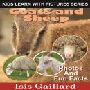 Goats and Sheep: Photos and Fun Facts for Kids Audiobook