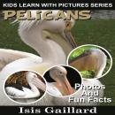 Pelicans: Photos and Fun Facts for Kids Audiobook