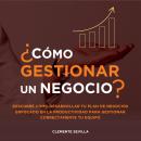 Cómo gestionar un negocio: Descubre cómo desarrollar tu plan de negocios enfocado en la productivida Audiobook