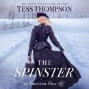 The Spinster Audiobook