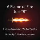 A Flame of Fire Just 'B' Audiobook