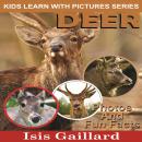 Deer: Photos and Fun Facts for Kids Audiobook