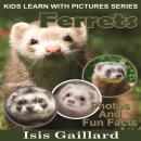 Ferrets: Photos and Fun Facts for Kids Audiobook