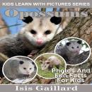 Opossums: Photos and Fun Facts for Kids Audiobook