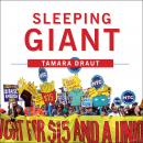 Sleeping Giant: How the New Working Class Will Transform America, Tamara Draut