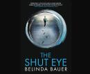 The Shut Eye Audiobook